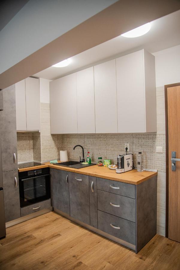 Gavas Apartments Viva City Cluj-Napoca Eksteriør billede
